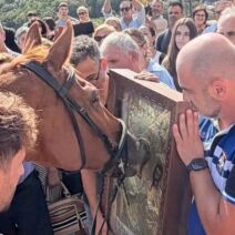 Καλάβρυτα: Βίντεο από τα άλογα να «προσκυνούν» την θαυματουργή εικόνα της Παναγίας