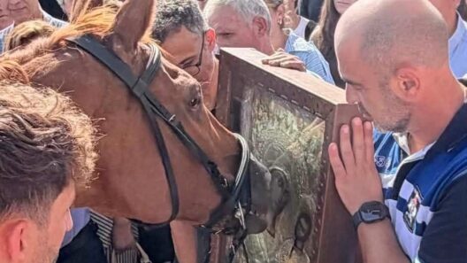 Καλάβρυτα: Βίντεο από τα άλογα να «προσκυνούν» την θαυματουργή εικόνα της Παναγίας