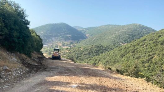 Πετρωτό: Συντήρηση σε ορεινούς αγροτικούς δρόμους από την Κοινότητα ΦΩΤΟ 13 Πετρωτό: Συντήρηση σε ορεινούς αγροτικούς δρόμους από την Κοινότητα ΦΩΤΟ