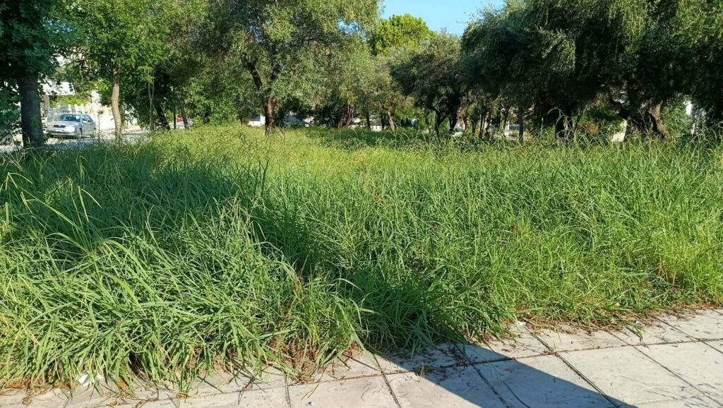 Πλατεία στην Αγυιά, οδός Αυστραλίας, με πινακίδα ονομασίας