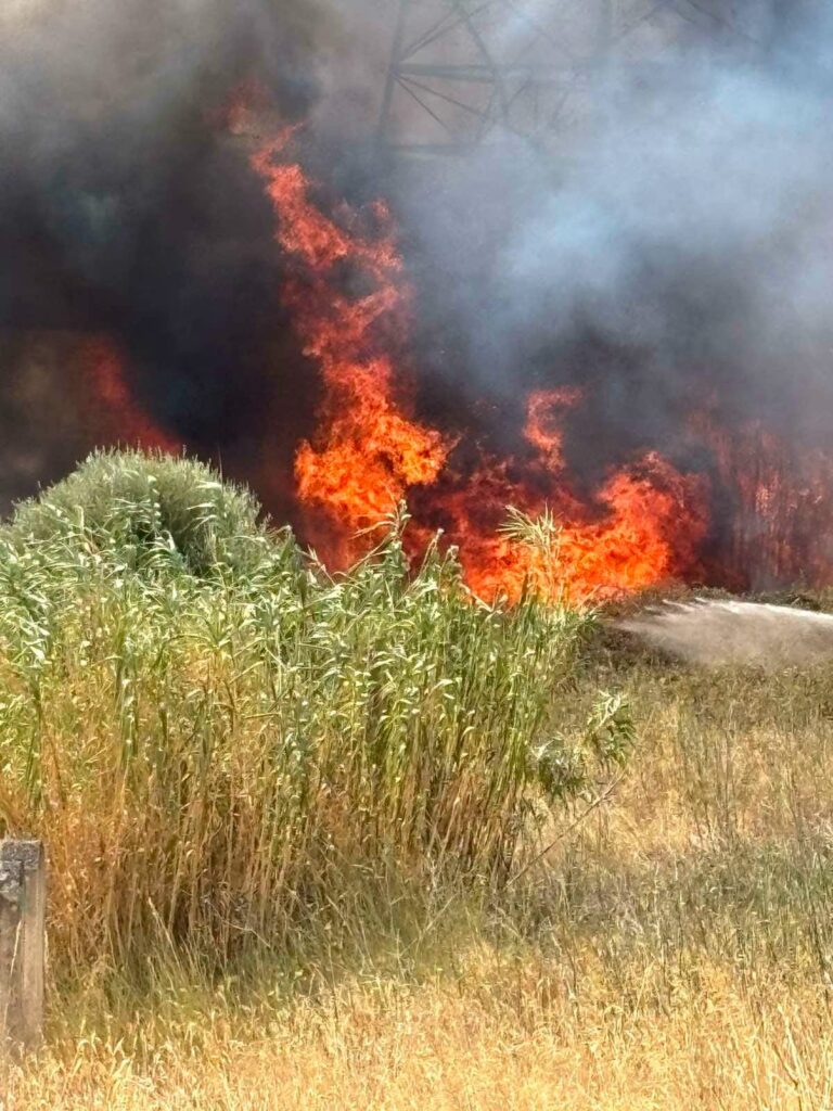 Πάτρα: «Εκρηξη» για τις φωτιές των Ρομά στον Χάραδρο - «Το Πανεπιστήμιο κινδυνεύει...» ΦΩΤΟ