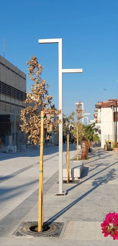 Αίγιο: Ανάπλαση με ξεραμένα δέντρα στην οδό Μητροπόλεως πριν καν ολοκληρωθεί το έργο ΦΩΤΟ