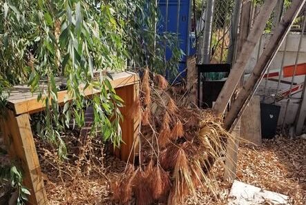 Κρουαζιερόπλοιο ΦΩΤΟΥ φθάνει στο λιμάνι της Πάτρας με τουρίστες