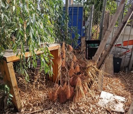 Κρουαζιερόπλοιο ΦΩΤΟΥ φθάνει στο λιμάνι της Πάτρας με τουρίστες