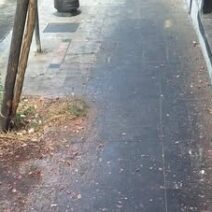 Πάτρα: Η βρωμιά στην οδό Άρατου κάλυψε τα πεζοδρόμια ΦΩΤΟ 2 Πάτρα: Η βρωμιά στην οδό Άρατου κάλυψε τα πεζοδρόμια ΦΩΤΟ
