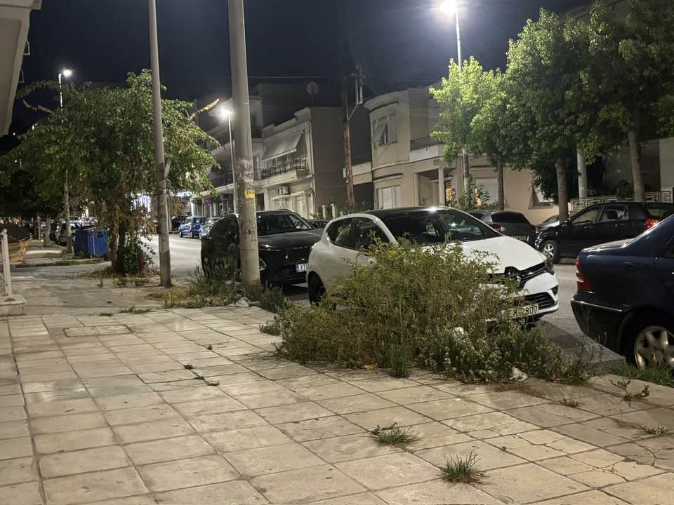Πάτρα: Καταγγελία για «κατακρεούργηση» δέντρων στην οδό Κιλκίς ΦΩΤΟ