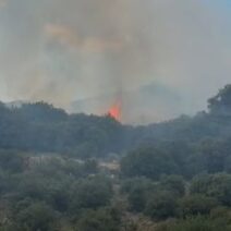 Φωτιά στη Λαμπεία Ηλείας - Επιχειρούν αεροσκάφη 3 Φωτιά στη Λαμπεία Ηλείας - Επιχειρούν αεροσκάφη
