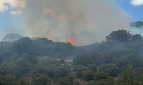 Φωτιά στη Λαμπεία Ηλείας - Επιχειρούν αεροσκάφη