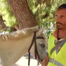 Άνδρος: Πρόστιμο σε αναβάτη αλόγου μετά από αλκοτέστ!