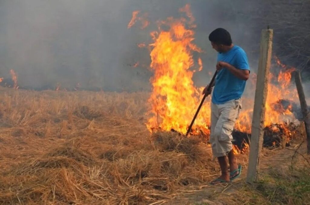 Πάτρα: Συλλήψεις και πρόστιμα για φωτιές - Τρεις στις Εισαγγελικές αρχές