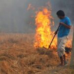 Πάτρα: Συλλήψεις, πρόστιμα και φυλακή για φωτιές - Τρεις στις Εισαγγελικές αρχές από την Πυροσβεστική
