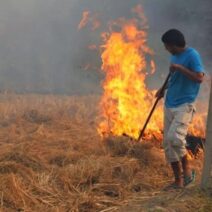 Πάτρα: Συλλήψεις και πρόστιμα για φωτιές - Τρεις στις Εισαγγελικές αρχές