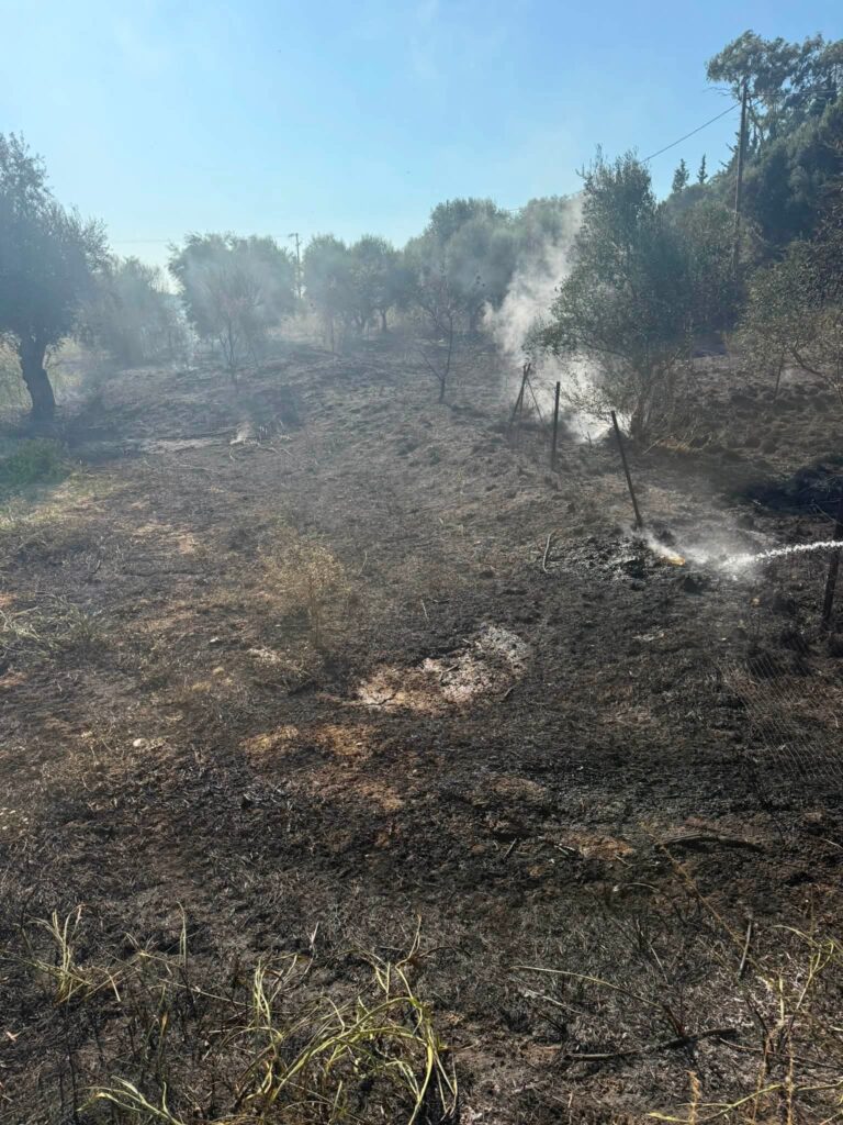 Λουσικά: Πυρκαγιά με ισχυρούς ανέμους αναστάτωσε το χωριό ΦΩΤΟ