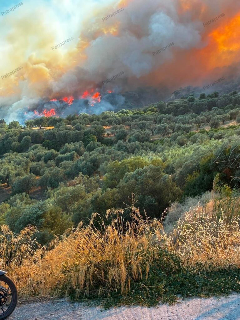 Αχαΐα: Φόβος να ξεφύγει η φωτιά από Αιγιάλεια προς Πάτρα - Εκκενώθηκαν χωριά - Μπαράζ ρίψεων από εναέρια μέσα - Ζαΐμης στο Patrapress BINTEO-ΦΩΤΟ