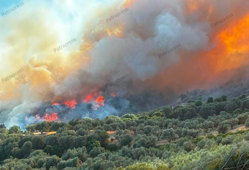 Αχαΐα: «Δύσκολη» η κατάσταση στη φωτιά κοντά στο Αίγιο - Δύο τα επικίνδυνα μέτωπα - Φόβοι να περάσουν οι φλόγες ακόμα και ποτάμι - Η ολονύχτια μάχη στο Patrapress BINTEO-ΦΩΤΟ 4 Αχαΐα: «Δύσκολη» η κατάσταση στη φωτιά κοντά στο Αίγιο - Δύο τα επικίνδυνα μέτωπα - Φόβοι να περάσουν οι φλόγες ακόμα και ποτάμι - Η ολονύχτια μάχη στο Patrapress BINTEO-ΦΩΤΟ