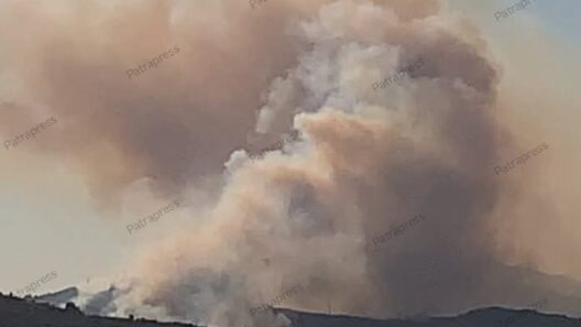 Αχαΐα: Φόβος να ξεφύγει η φωτιά από Αιγιάλεια προς Πάτρα - Εκκενώθηκαν χωριά - Μπαράζ ρίψεων από εναέρια μέσα - Ζαΐμης στο Patrapress BINTEO-ΦΩΤΟ