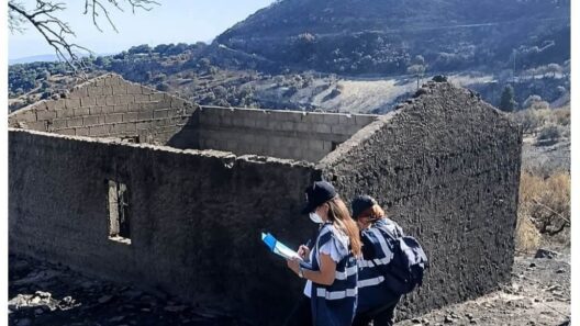Δυτική Αχαΐα: Άρχισε η καταγραφή ζημιών στον Φλόκα μετά την πυρκαγιά ΦΩΤΟ