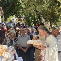 Πιτίτσα Πατρών: Με κατάνυξη και ευλάβεια τιμήθηκε η Παναγία της Μουριώτισσας ΦΩΤΟ 1 Πιτίτσα Πατρών: Με κατάνυξη και ευλάβεια τιμήθηκε η Παναγία της Μουριώτισσας ΦΩΤΟ
