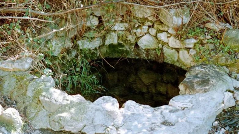 Παλιό πέτρινο πηγάδι με σκούρα νερά και βλάστηση γύρω του.