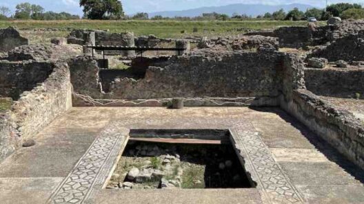 Το 7ο Διεθνές Συνέδριο Αρχαία Ελίκη και Αιγιάλεια 12 Το 7ο Διεθνές Συνέδριο Αρχαία Ελίκη και Αιγιάλεια