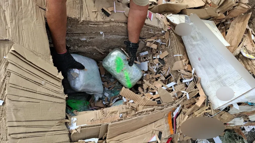 Αστυνομικός ανασύρει δέματα κάνναβης κρυμμένα σε φορτίο από χαρτό…