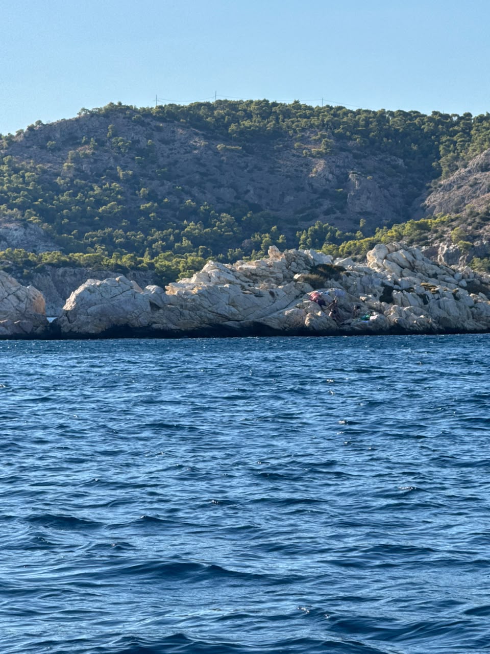 Γιώργος Βάλλης για τη φωτιά στη Σαλαμίνα: «Προέχει η προστασία της ανθρώπινης ζωής» ΦΩΤΟ