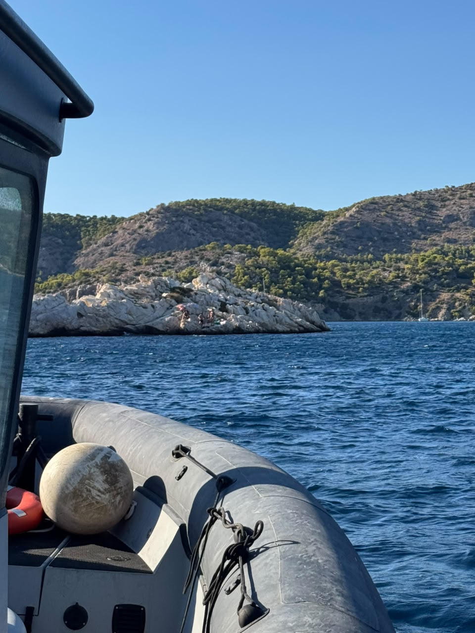 Γιώργος Βάλλης για τη φωτιά στη Σαλαμίνα: «Προέχει η προστασία της ανθρώπινης ζωής» ΦΩΤΟ