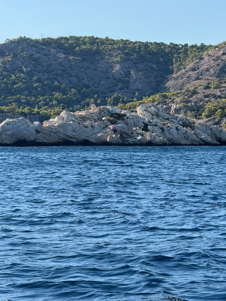 Γιώργος Βάλλης για τη φωτιά στη Σαλαμίνα: «Προέχει η προστασία της ανθρώπινης ζωής» ΦΩΤΟ
