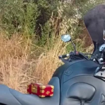 Αγρίνιο: Αντιδήμαρχος ακινητοποίησε κλέφτες κοσμημάτων ΦΩΤΟ