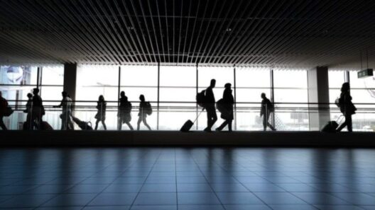 Γερμανία: Νεκρός από ελονοσία εργαζόμενος στο αεροδρόμιο της Φρανκφούρτης
