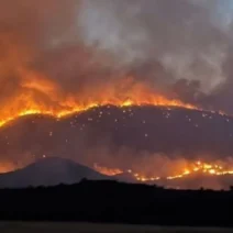 Αλβανία: Χιλιάδες στρέμματα δάσους στις φλόγες - Εκκενώθηκαν χωριά 1 Αλβανία: Χιλιάδες στρέμματα δάσους στις φλόγες - Εκκενώθηκαν χωριά