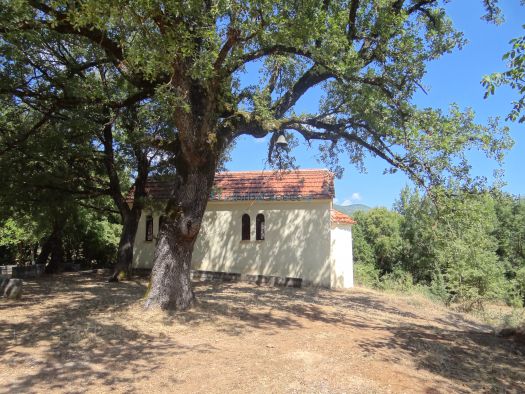 Αχαΐα: Ετοιμασίες για τον Δεκαπενταύγουστο – Εκκλησία και Σύλλογοι κρατούν ζωντανές τις παραδόσεις - Το Patrapress για το «Πάσχα του Καλοκαιριού»