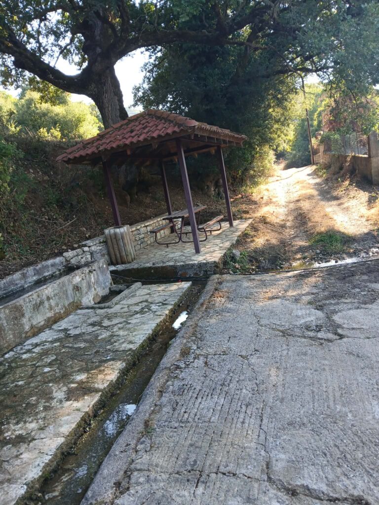 Εθελοντική δράση καθαρισμού της πηγής Μαγκάνι στην Κούτελη ΦΩΤΟ 5 Εθελοντική δράση καθαρισμού της πηγής Μαγκάνι στην Κούτελη ΦΩΤΟ