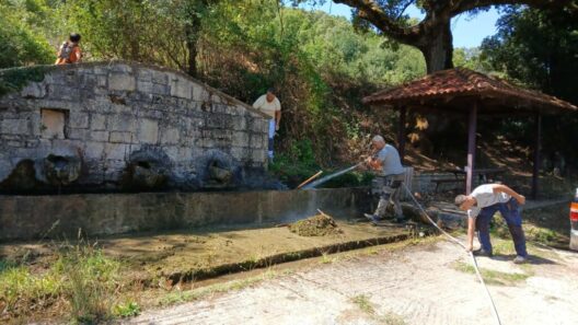 Εθελοντική δράση καθαρισμού της πηγής Μαγκάνι στην Κούτελη ΦΩΤΟ 12 Εθελοντική δράση καθαρισμού της πηγής Μαγκάνι στην Κούτελη ΦΩΤΟ