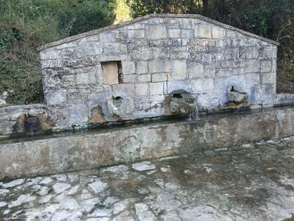 Εθελοντική δράση καθαρισμού της πηγής Μαγκάνι στην Κούτελη ΦΩΤΟ 6 Εθελοντική δράση καθαρισμού της πηγής Μαγκάνι στην Κούτελη ΦΩΤΟ
