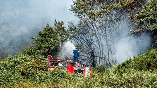 Αχαΐα: «Καμπάνα» από την Πυροσβεστική για «θερμές» εργασίες στην ύπαιθρο 14 Αχαΐα: «Καμπάνα» από την Πυροσβεστική για «θερμές» εργασίες στην ύπαιθρο