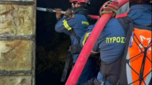 Αχαΐα: Στην Κρήτη εσπευσμένα τα «Δασοκομάντος» από την Πάτρα - Στην μεγάλη πυρκαγιά ΦΩΤΟ