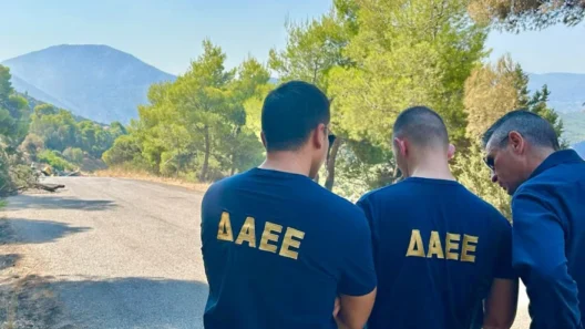Ψάθα: Αυτοψία της ΔΑΕΕ στο σημείο πτώσης των δύο ελικοπτέρων ΦΩΤΟ 12 Ψάθα: Αυτοψία της ΔΑΕΕ στο σημείο πτώσης των δύο ελικοπτέρων ΦΩΤΟ