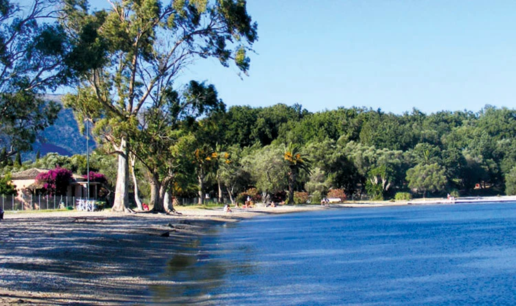 Λαμπίρι: Στο «περίμενε» το Mare Terra – Τι μπλοκάρει τη μεγάλη επένδυση στο πρώην «Κλαμπ των Γάλλων» - Αρμόδιοι στο Patrapress ΦΩΤΟ
