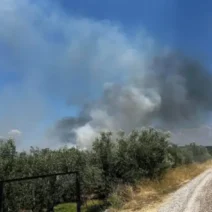 Αγρίνιο: Φωτιά ξέσπασε στη Μεγάλη Χώρα ΒΙΝΤΕΟ 2 Αγρίνιο: Φωτιά ξέσπασε στη Μεγάλη Χώρα ΒΙΝΤΕΟ