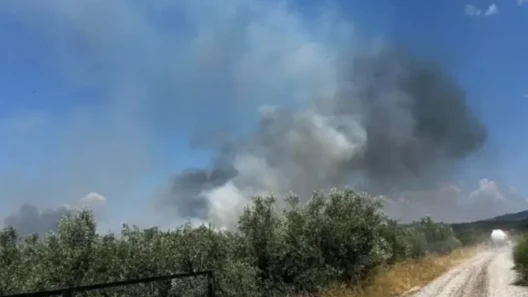 Αγρίνιο: Φωτιά ξέσπασε στη Μεγάλη Χώρα ΒΙΝΤΕΟ