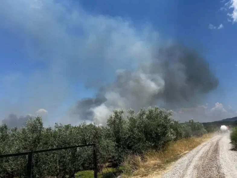 Αγρίνιο: Φωτιά ξέσπασε στη Μεγάλη Χώρα ΒΙΝΤΕΟ
