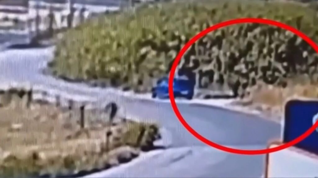 «Έβαζα φωτιές για να ξεδίνω»: Σοκάρει ο 59χρονος εμπρηστής στη Σίνδο