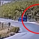 «Έβαζα φωτιές για να ξεδίνω»: Σοκάρει ο 59χρονος εμπρηστής στη Σίνδο