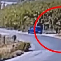 «Έβαζα φωτιές για να ξεδίνω»: Σοκάρει ο 59χρονος εμπρηστής στη Σίνδο