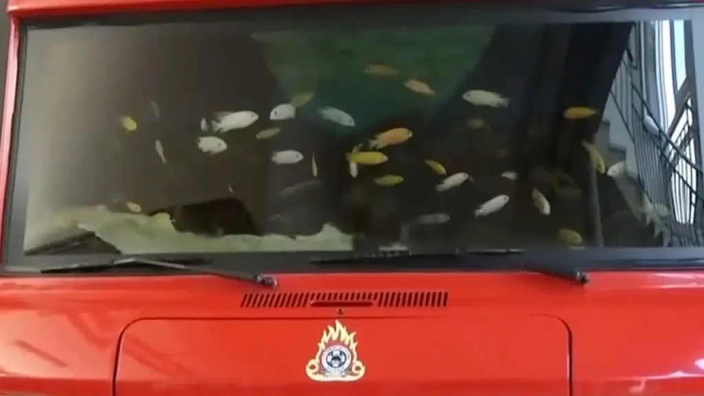 Πυρκαγιά σε ενυδρείο Χανίων