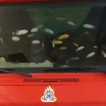 Πυρκαγιά σε ενυδρείο Χανίων