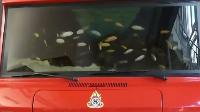 Πυρκαγιά σε ενυδρείο Χανίων