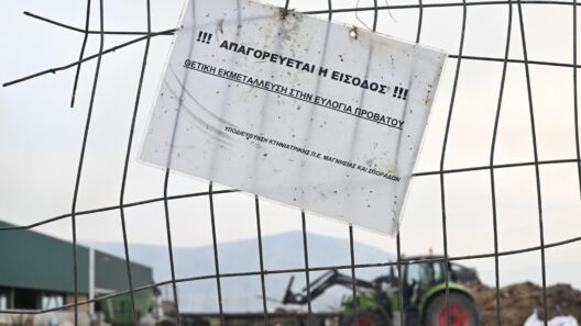 Αχαΐα: Αποκάλυψη σοκ - Επτά νεκροί Κτηνοτρόφοι - Δεν άντεξαν τον όλεθρο της ευλογιάς