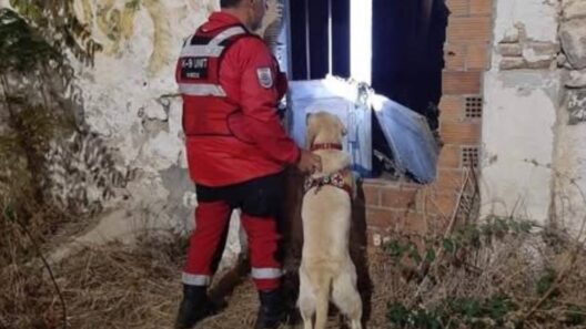 Πάτρα: Ο Ερυθρός Σταυρός στις έρευνες για την αγνοούμενη 81χρονη ΦΩΤΟ